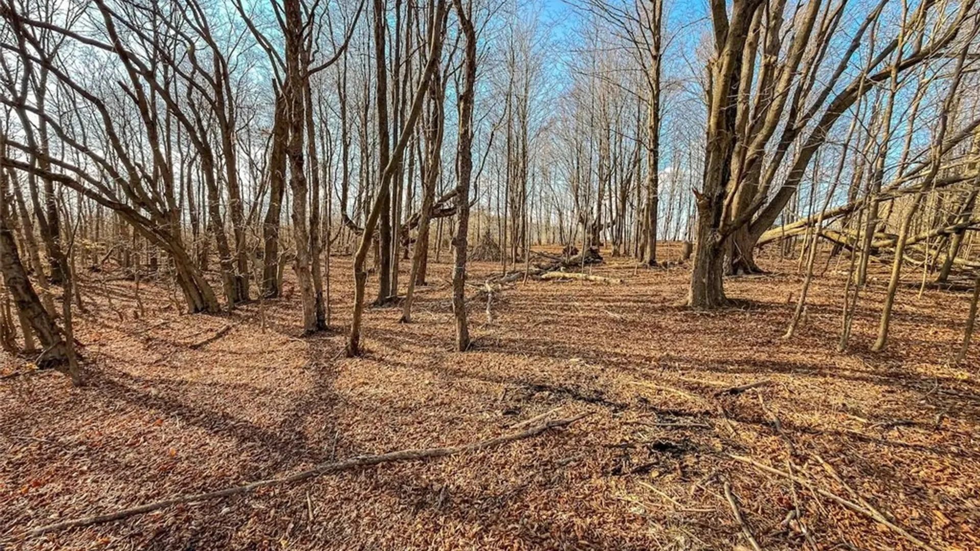 Property at 2407 Timmerman Road, Jasper, NY 14855 18