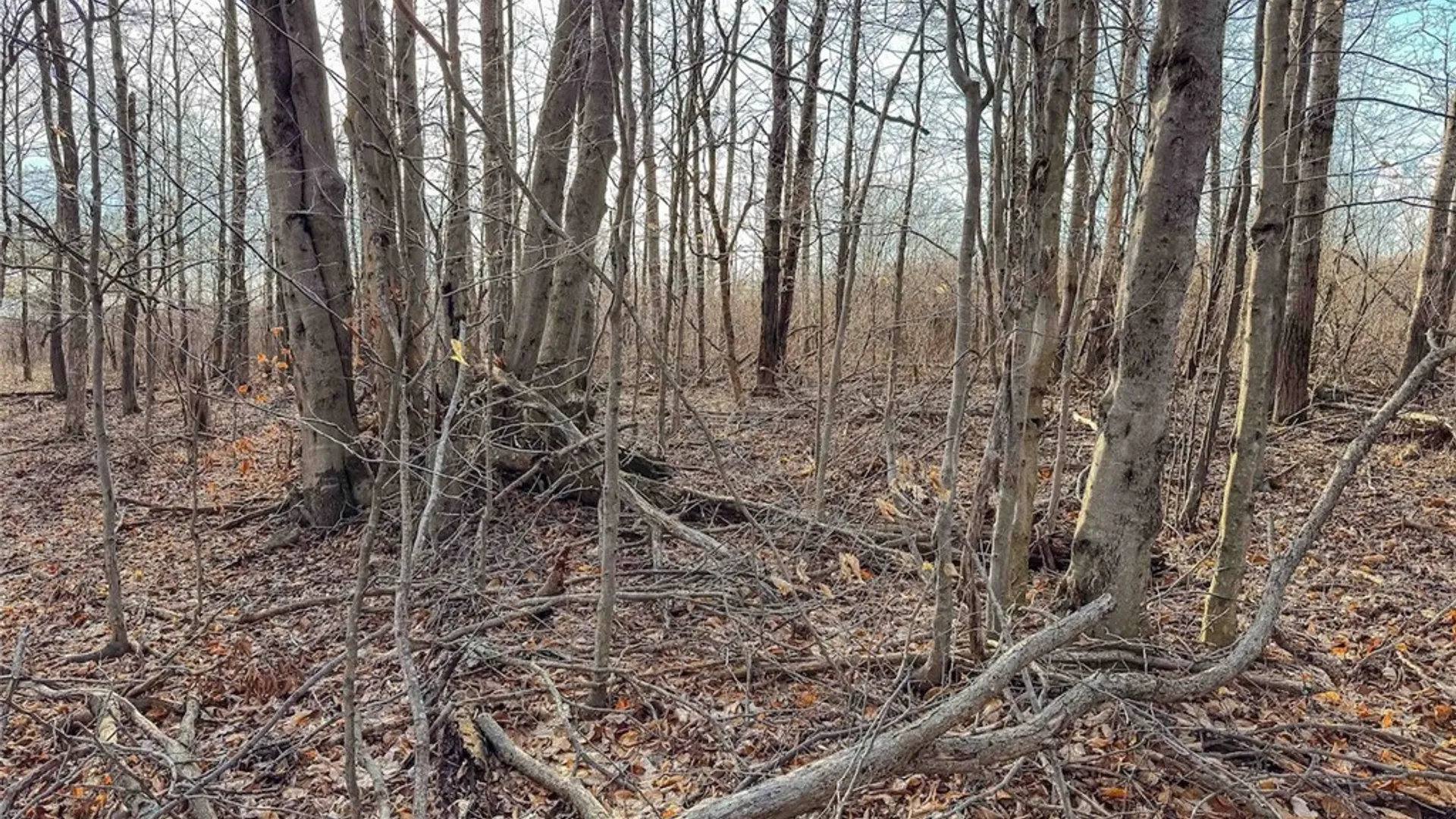 Property at 2407 Timmerman Road, Jasper, NY 14855 19