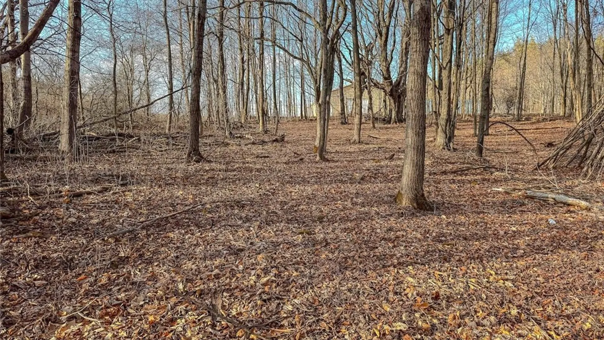 Property at 2407 Timmerman Road, Jasper, NY 14855 20