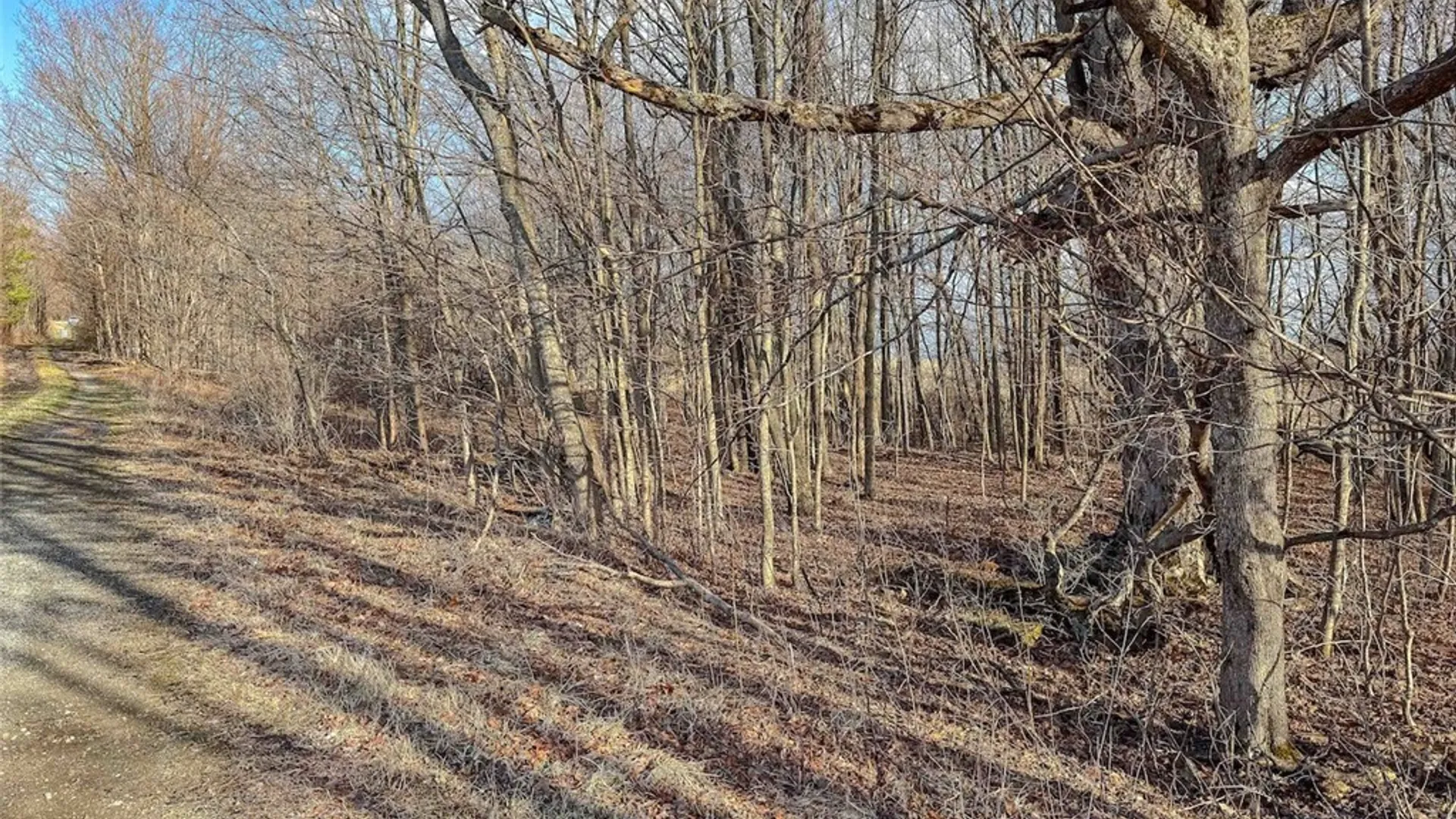 Property at 2407 Timmerman Road, Jasper, NY 14855 23