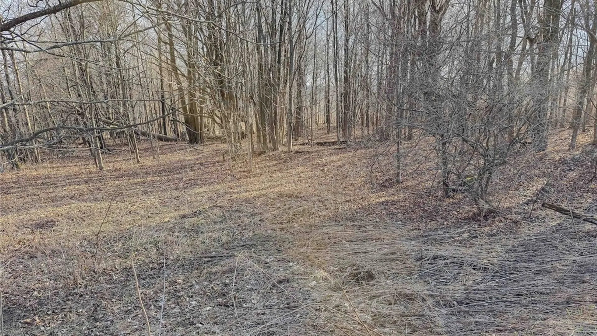 Property at 2407 Timmerman Road, Jasper, NY 14855 24