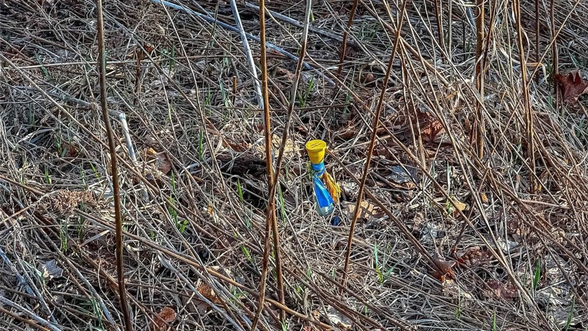 Property at 2407 Timmerman Road, Jasper, NY 14855 25