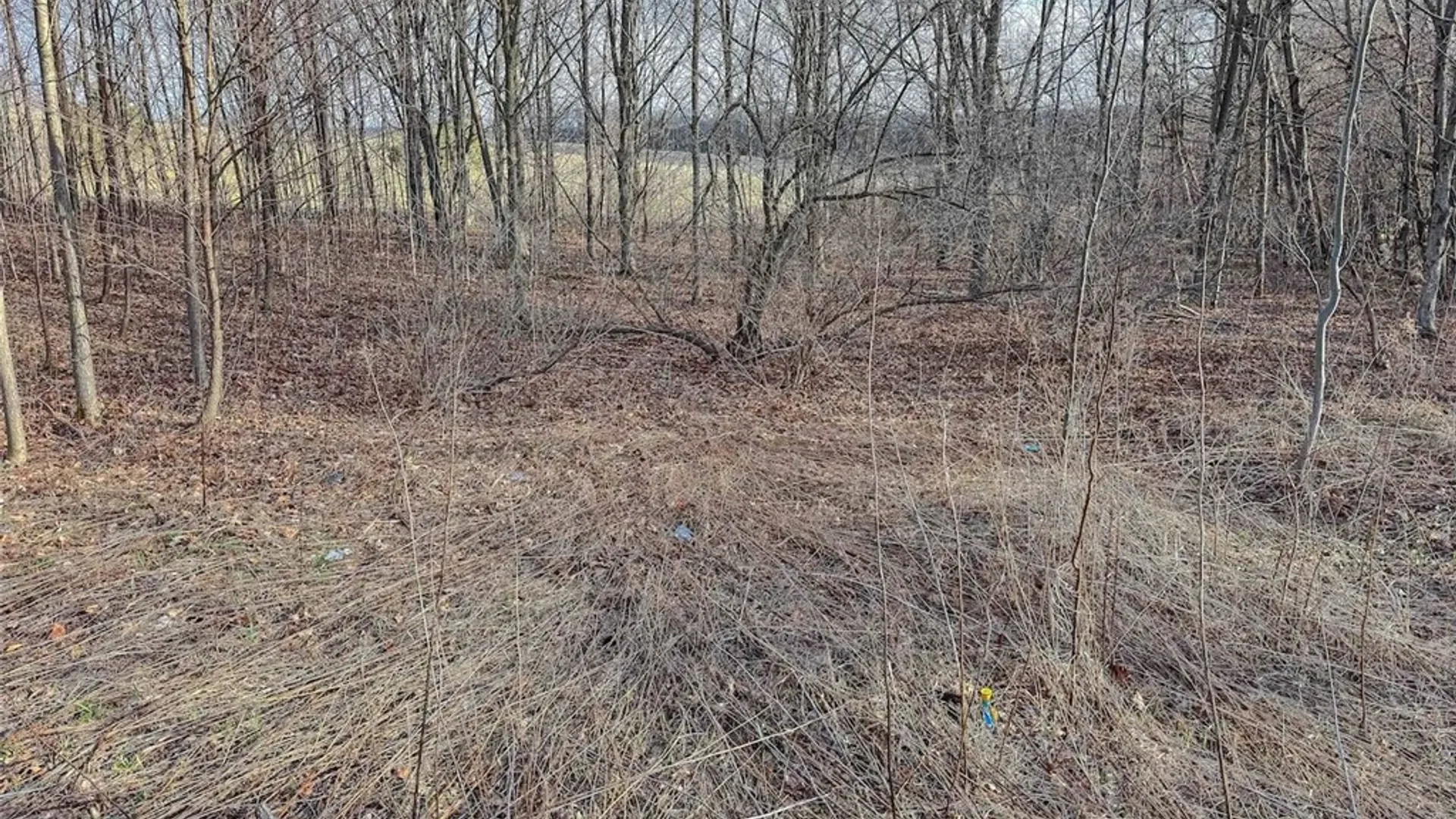 Property at 2407 Timmerman Road, Jasper, NY 14855 26