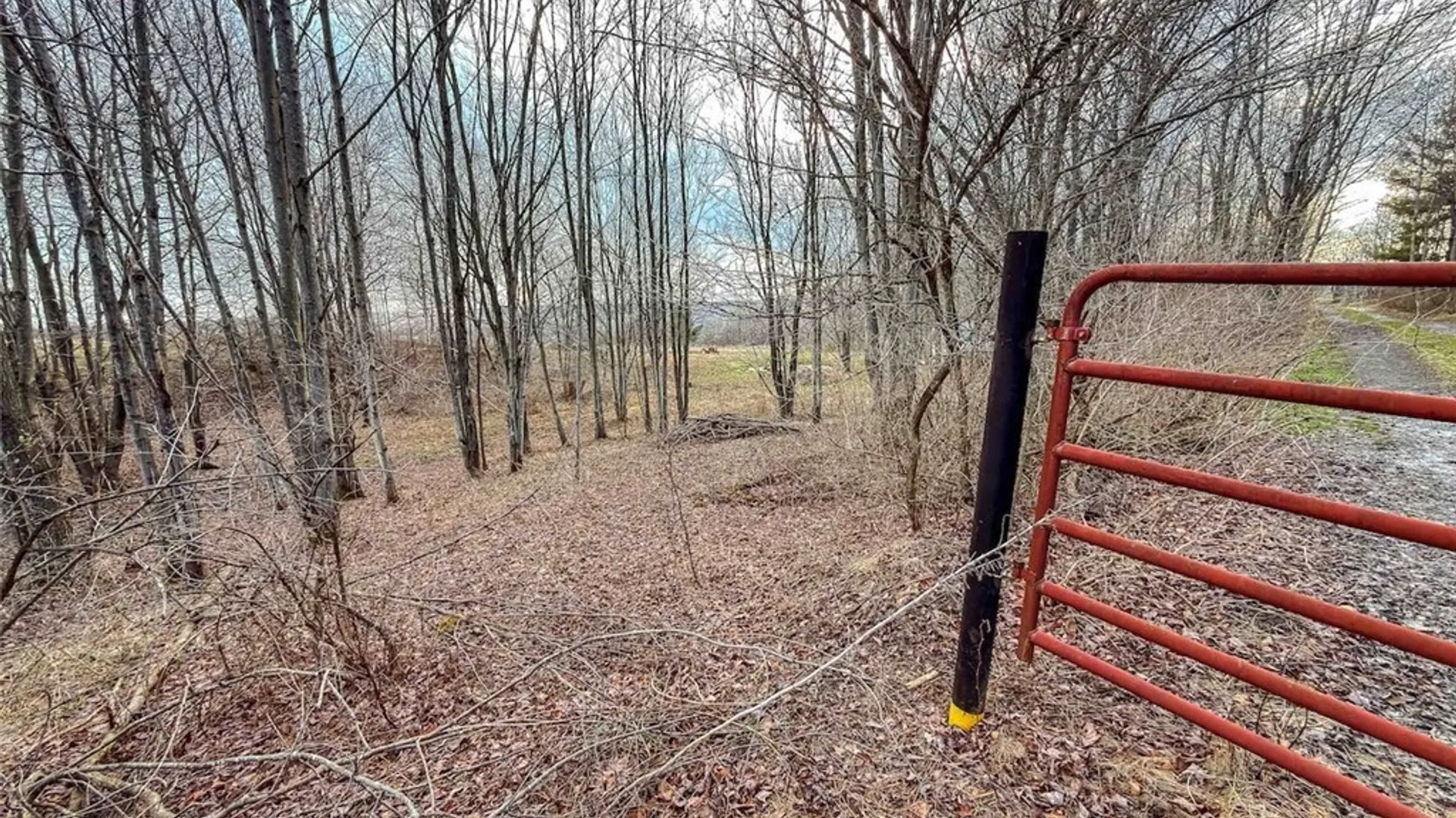 Property at 2407 Timmerman Road, Jasper, NY 14855 27