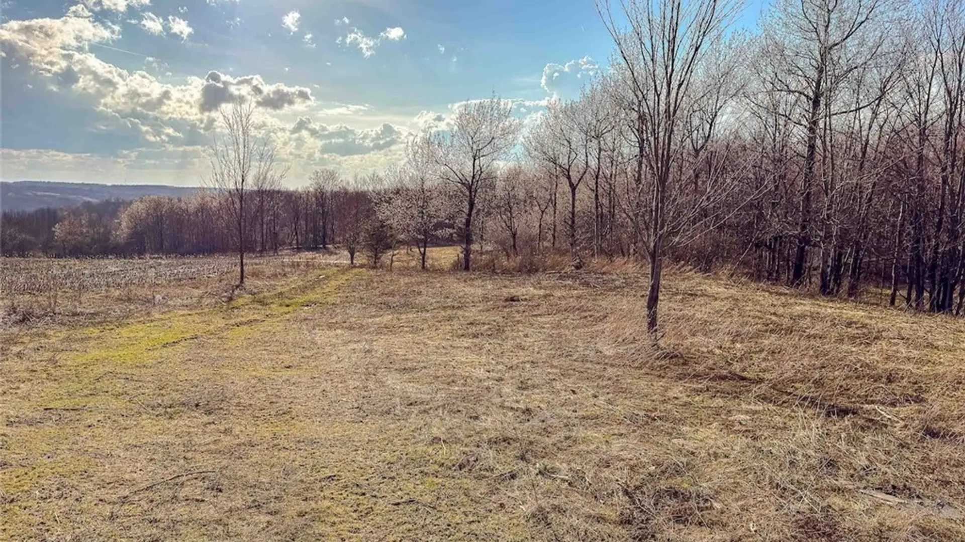 Property at 2407 Timmerman Road, Jasper, NY 14855 4