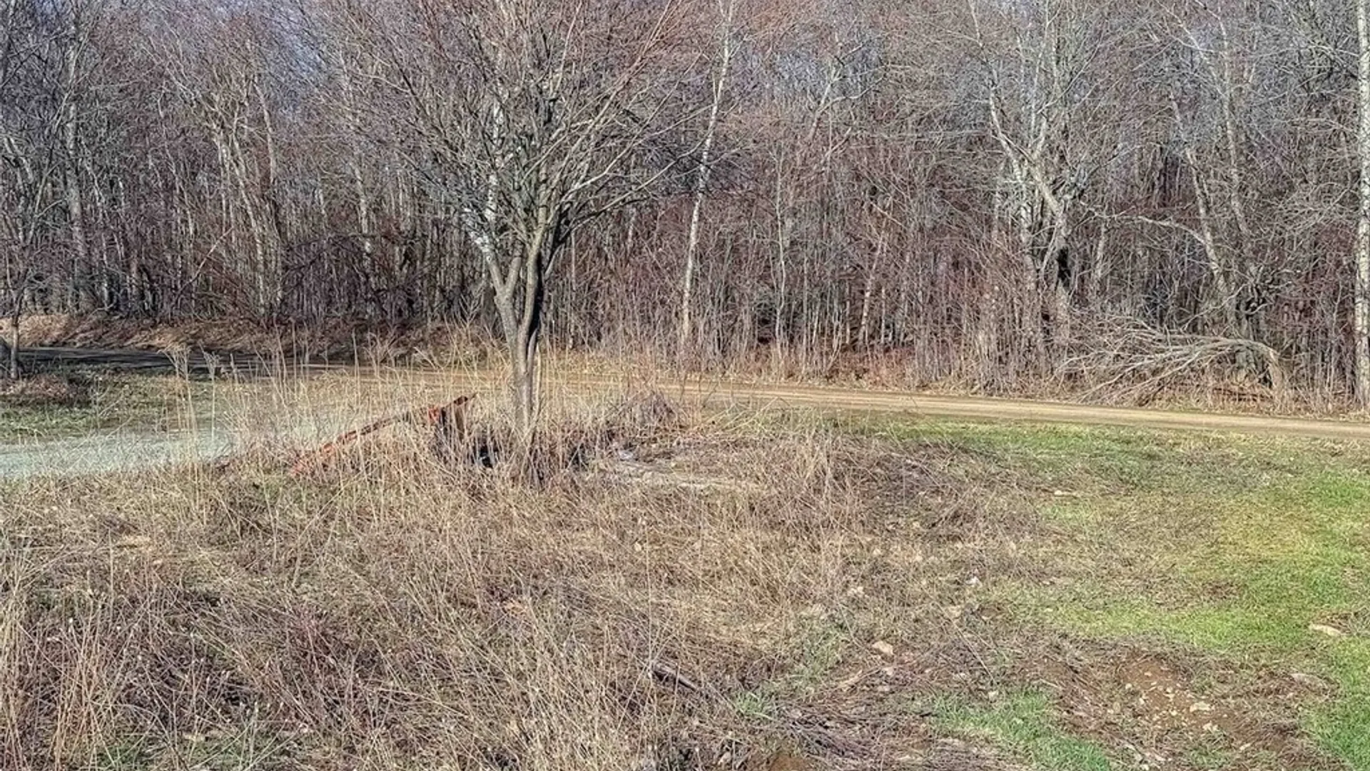 Property at 2407 Timmerman Road, Jasper, NY 14855 5