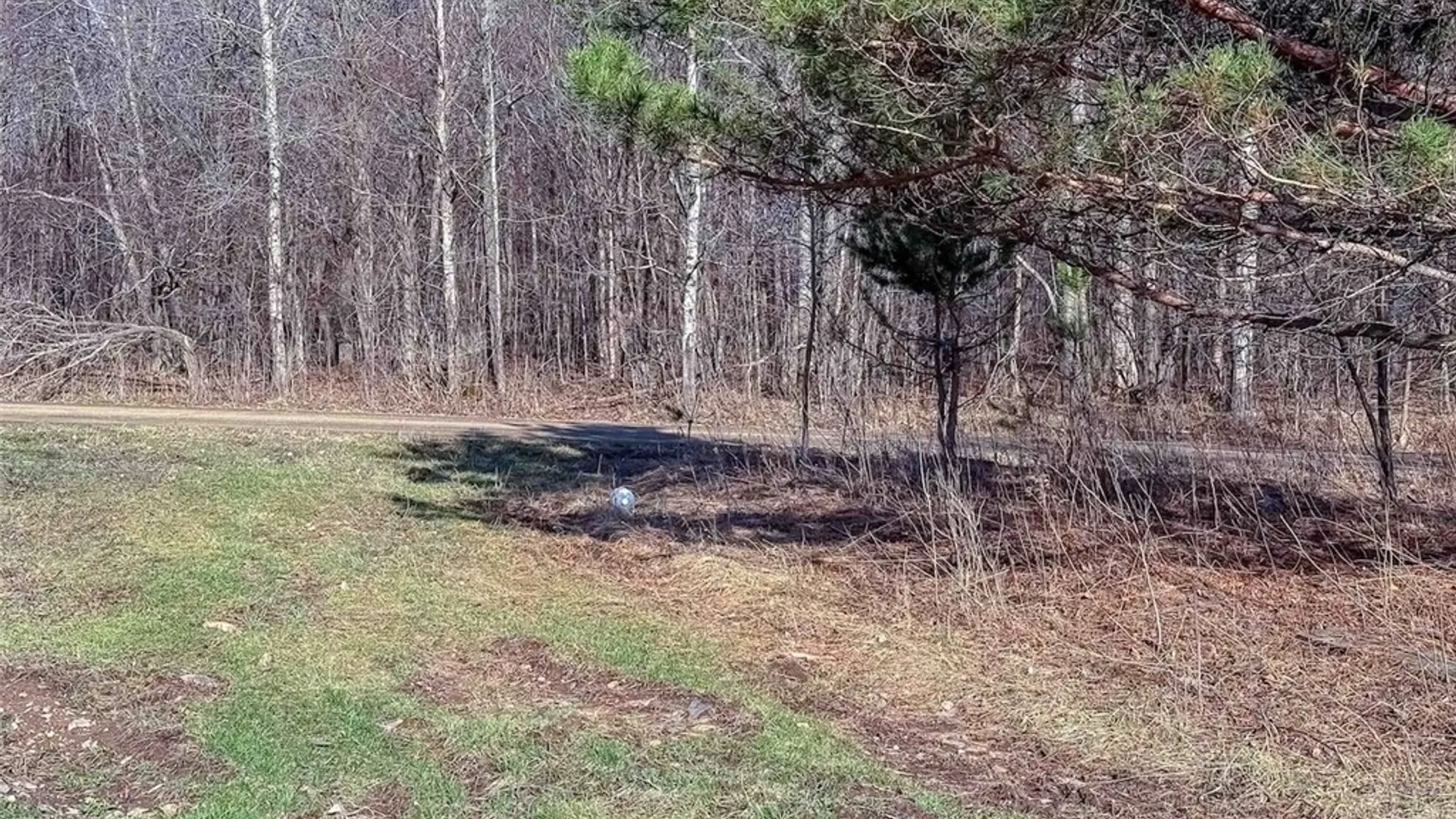 Property at 2407 Timmerman Road, Jasper, NY 14855 6