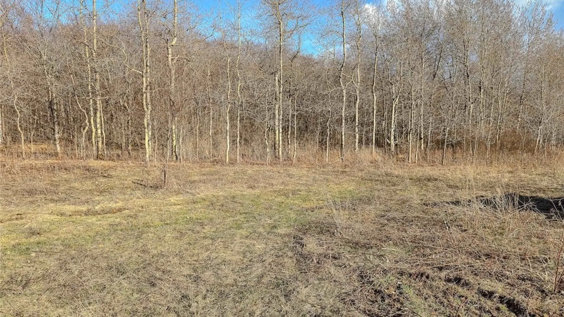 Property at 2407 Timmerman Road, Jasper, NY 14855 7