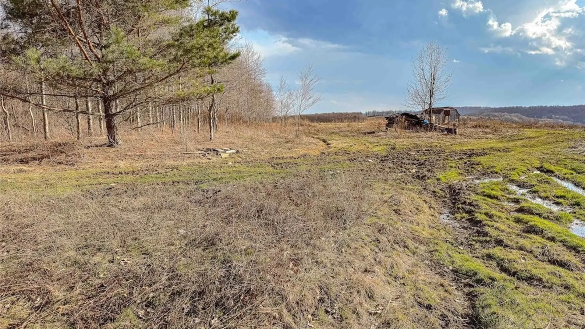 Property at 2407 Timmerman Road, Jasper, NY 14855 8