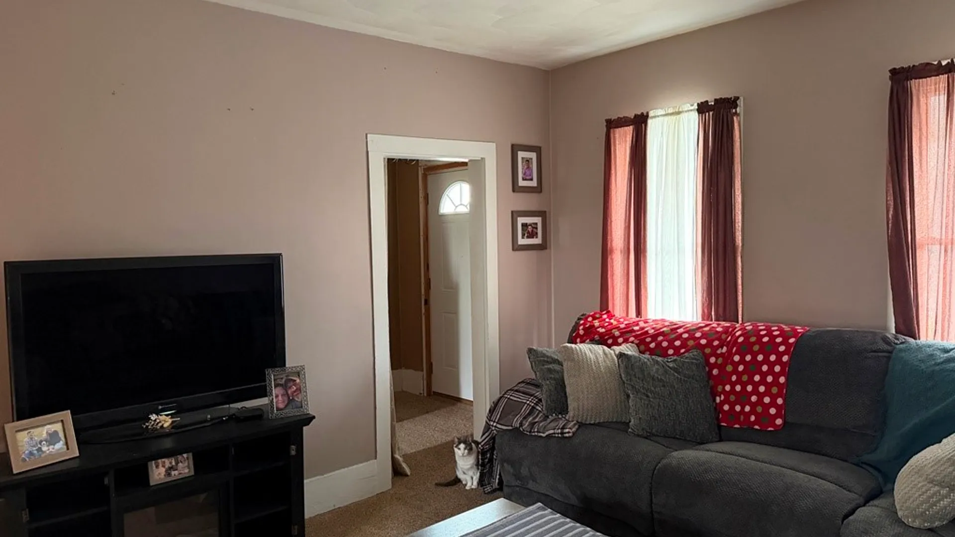 Property at 272 Kane Street, Jones Twp, PA 15870 14