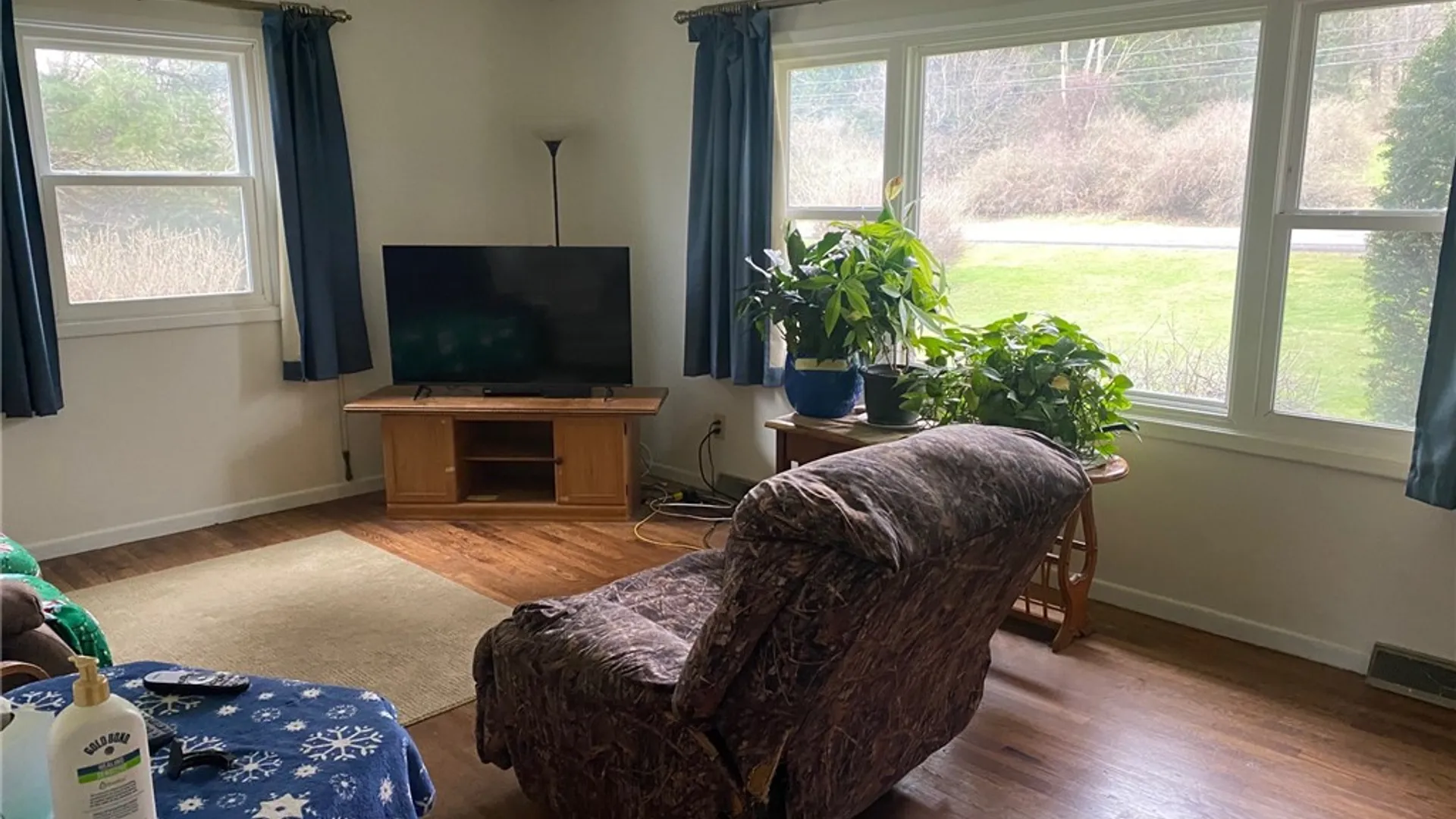 Property at 399 Dryden harford Road, Dryden, NY 13053 7