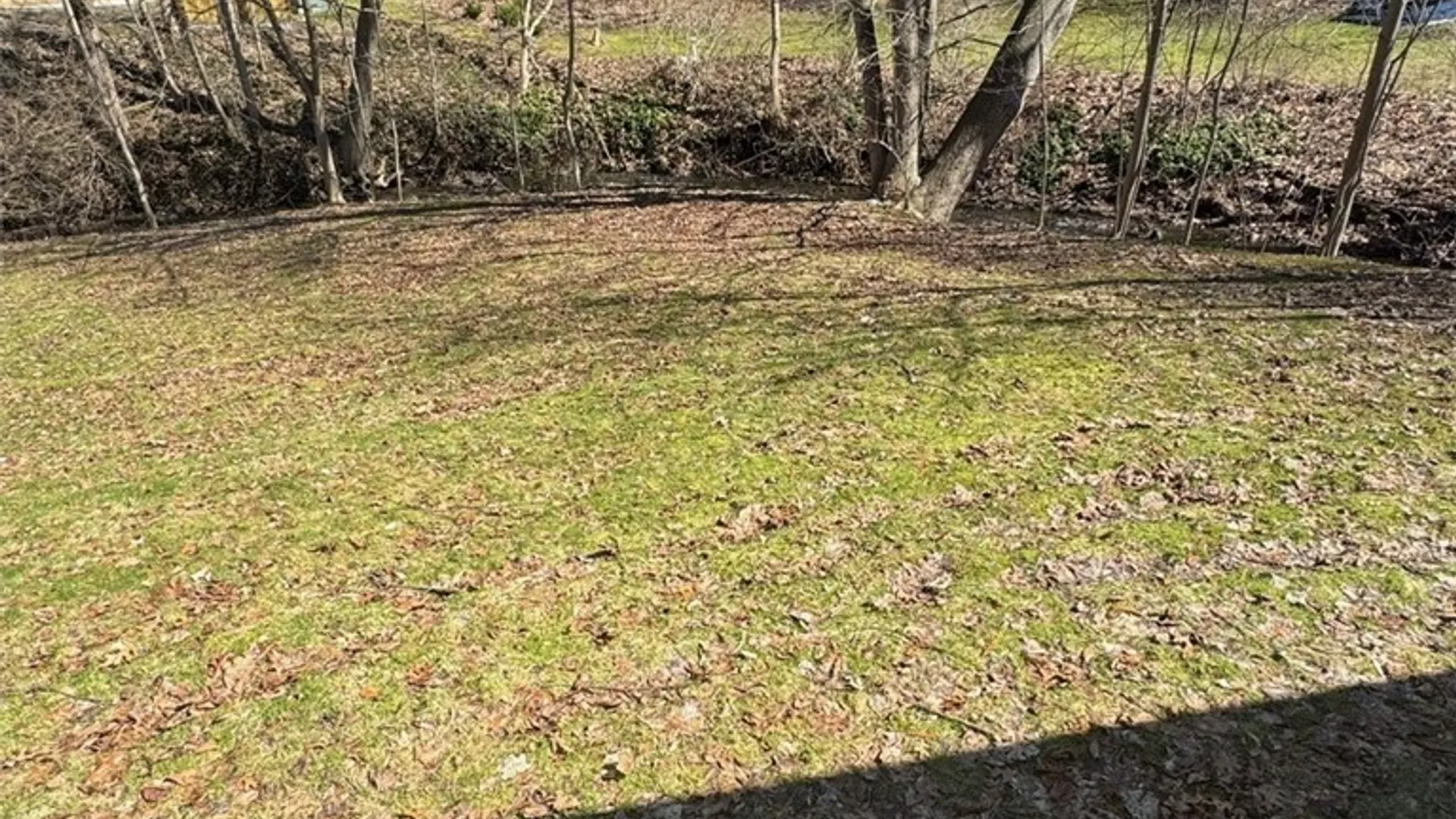 Property at 47 Brooktree Drive, Perinton, NY 14526 5