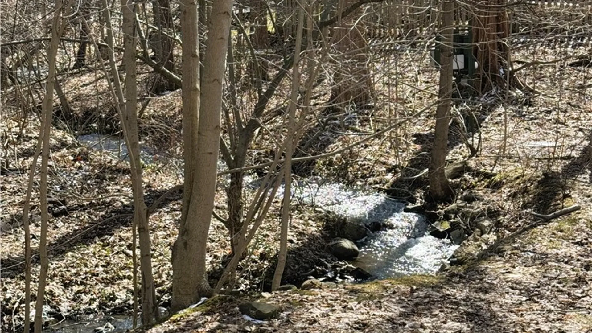 Property at 47 Brooktree Drive, Perinton, NY 14526 7