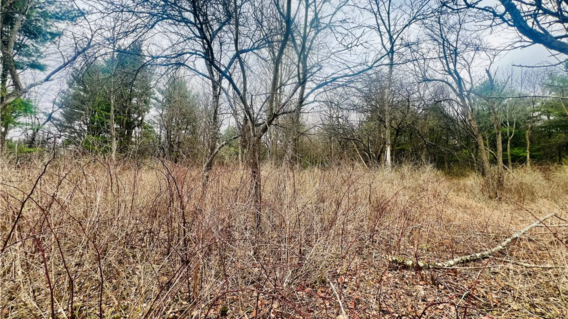 Property at 77 Collins Road, Lansing, NY 13068 8