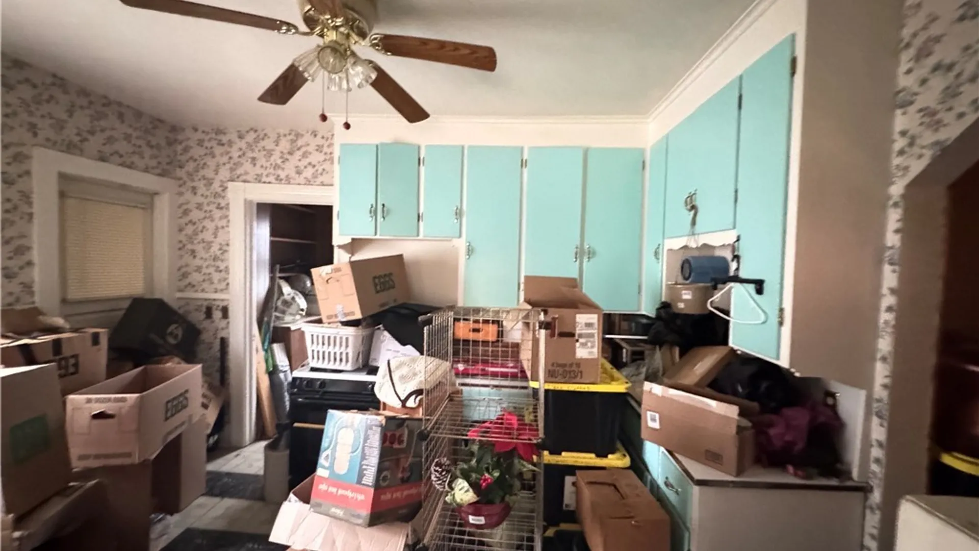 Property at 377 Alphonse Street, Rochester, NY 14621 19