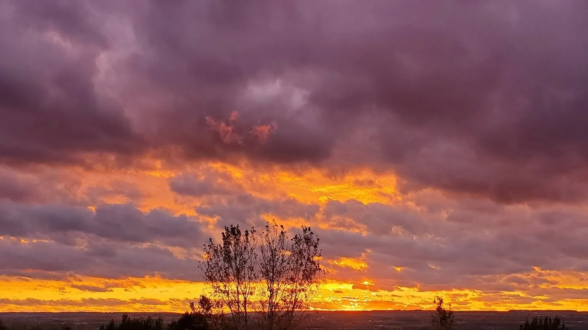 Property at 9496 State Rt 414, Lodi, NY 14860 33