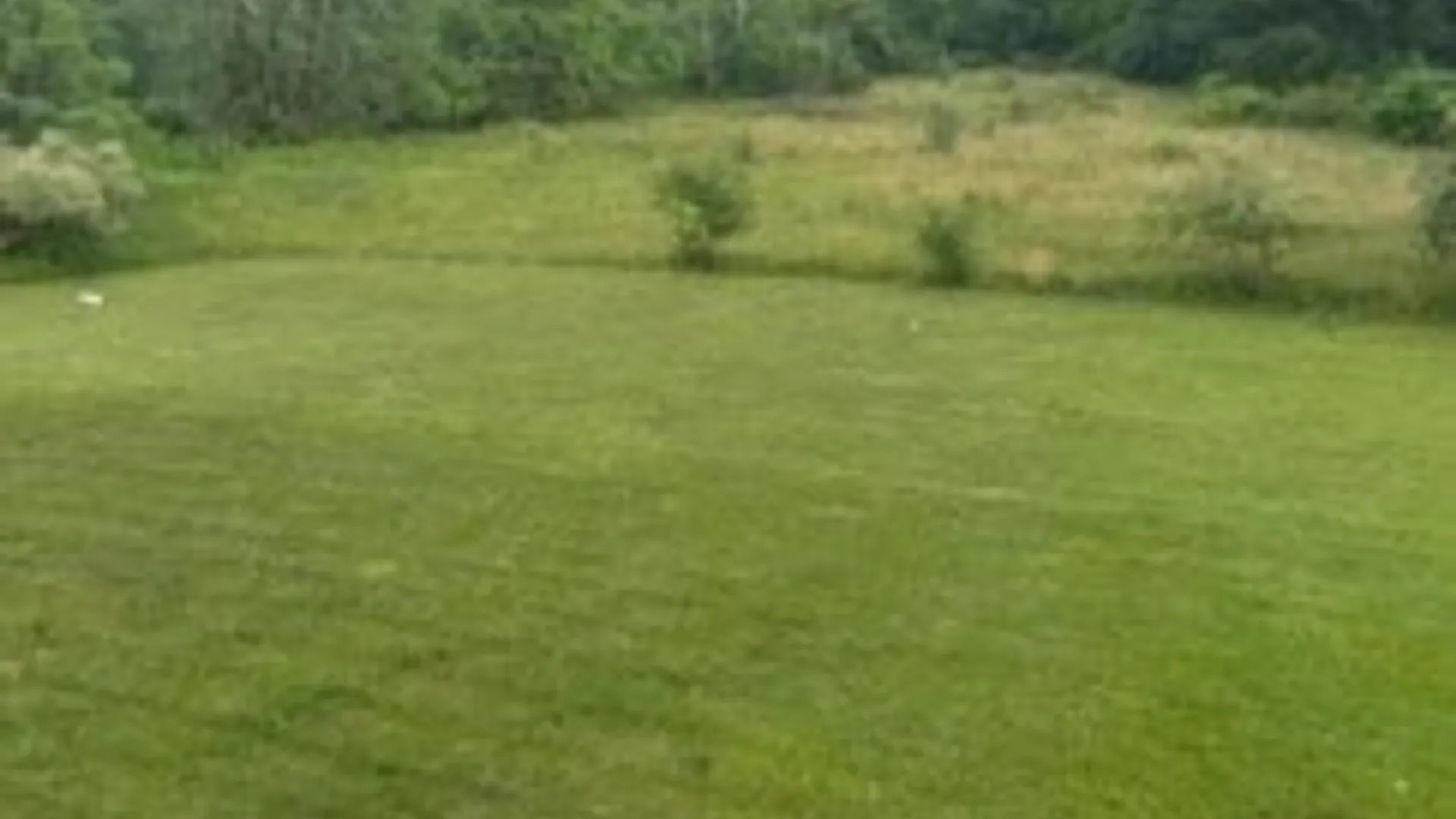 Property at 9496 State Rt 414, Lodi, NY 14860 5