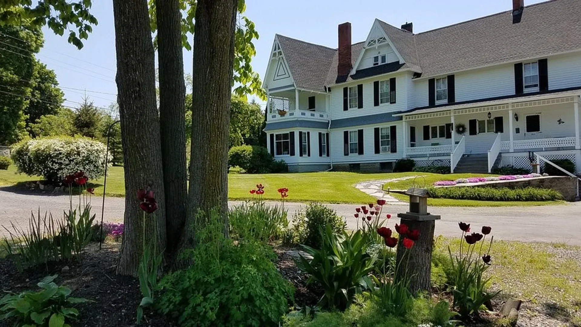 Property at 9496 State Rt 414, Lodi, NY 14860 7