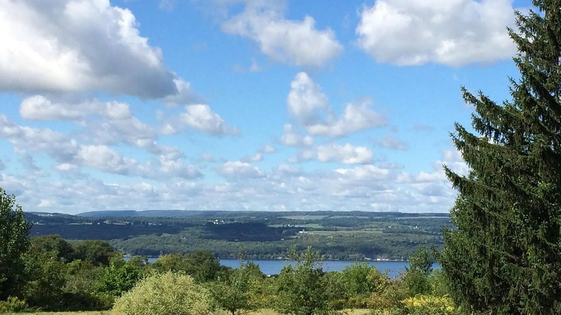 Property at 9496 State Rt 414, Lodi, NY 14860 8