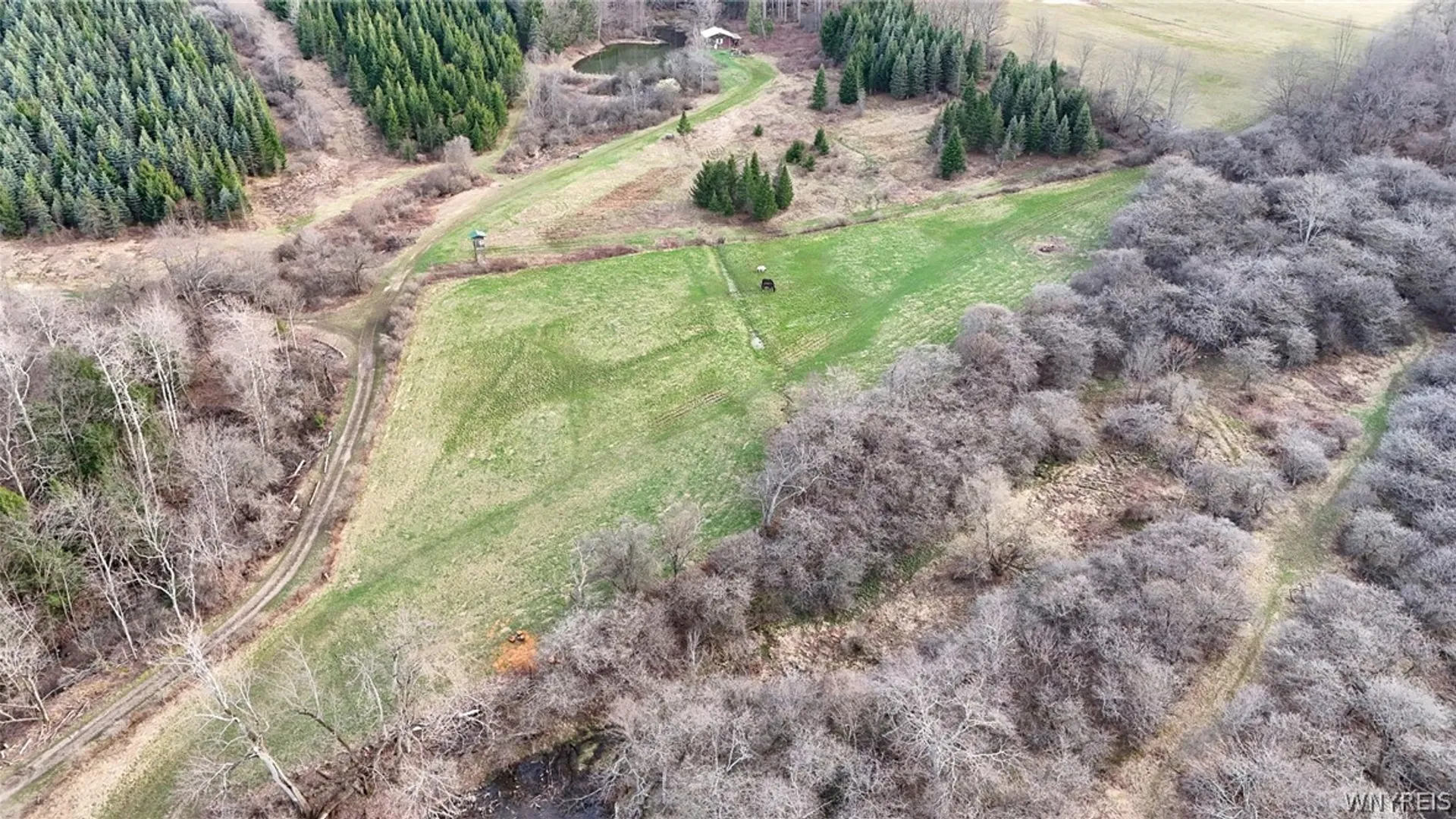 Property at 7509 Higgins Creek Road, Hume, NY 14735 14