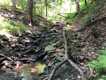 Property at Dingman Hill Road, Bainbridge, NY 13733