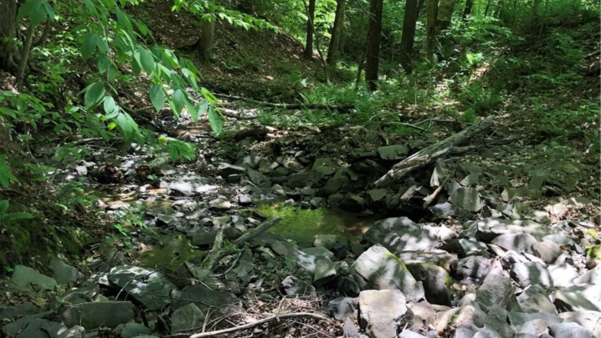 Property at Dingman Hill Road, Bainbridge, NY 13733 2