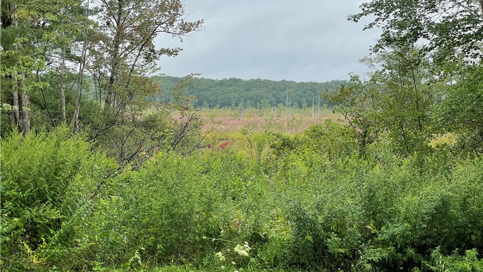 Property at 1127 State Route 13, Williamstown, NY 13493 11