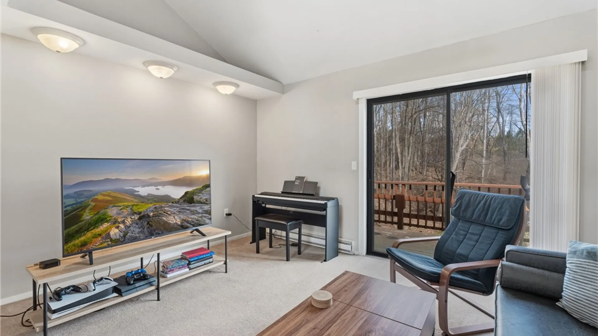 Property at 134 Poole Road, Ithaca Town, NY 14850 25