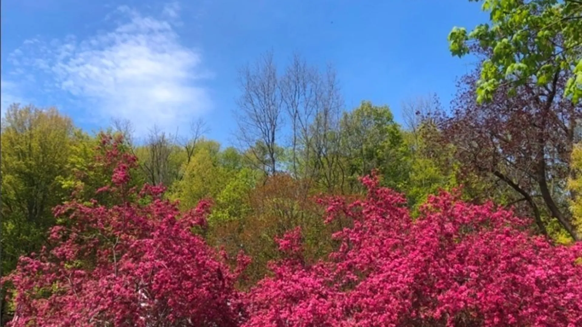 Property at 211 Main Street, Augusta, NY 13425 2