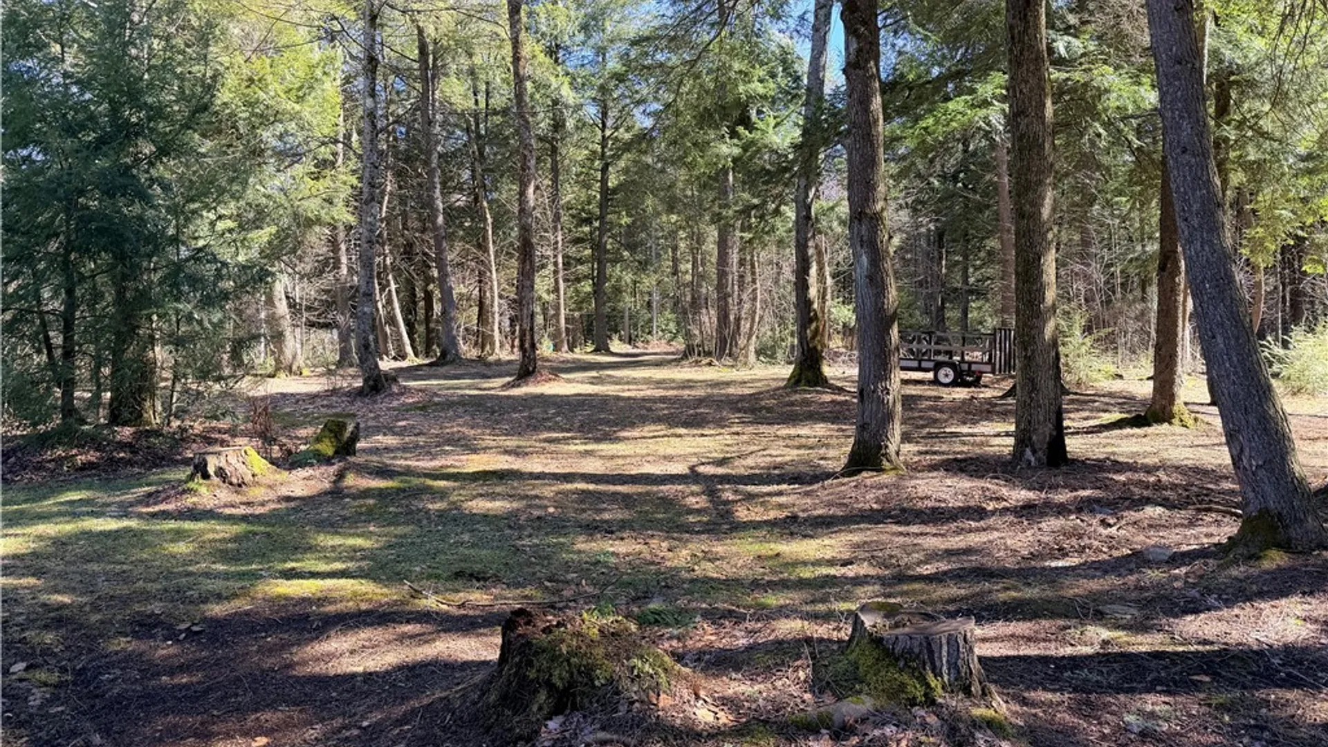 Property at 1154 Little Loop Road, Portville, NY 14770 4