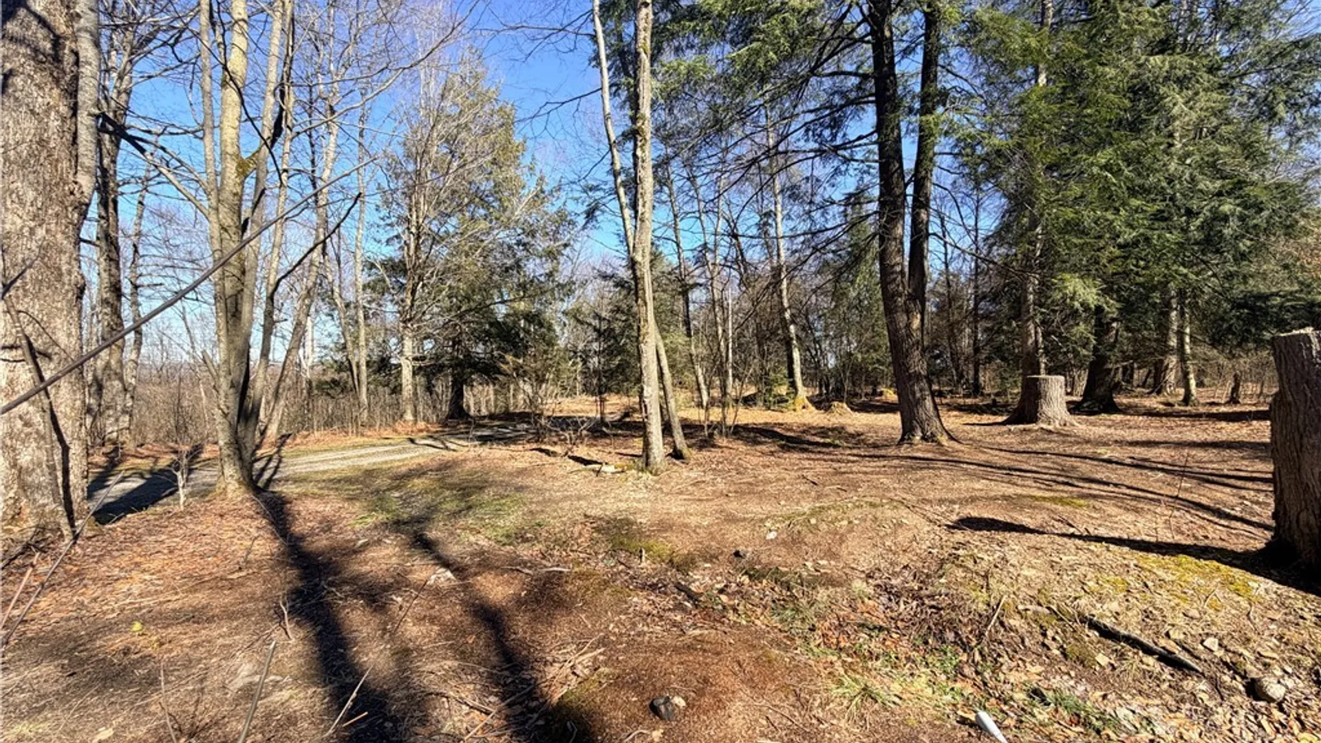 Property at 1154 Little Loop Road, Portville, NY 14770 6