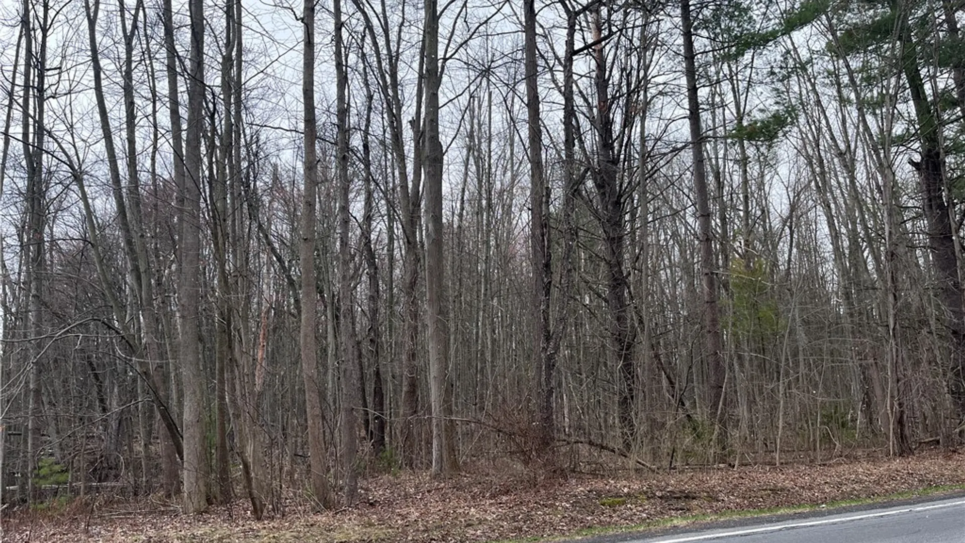 Property at 0 Packwood Road, Waterloo, NY 13165 2