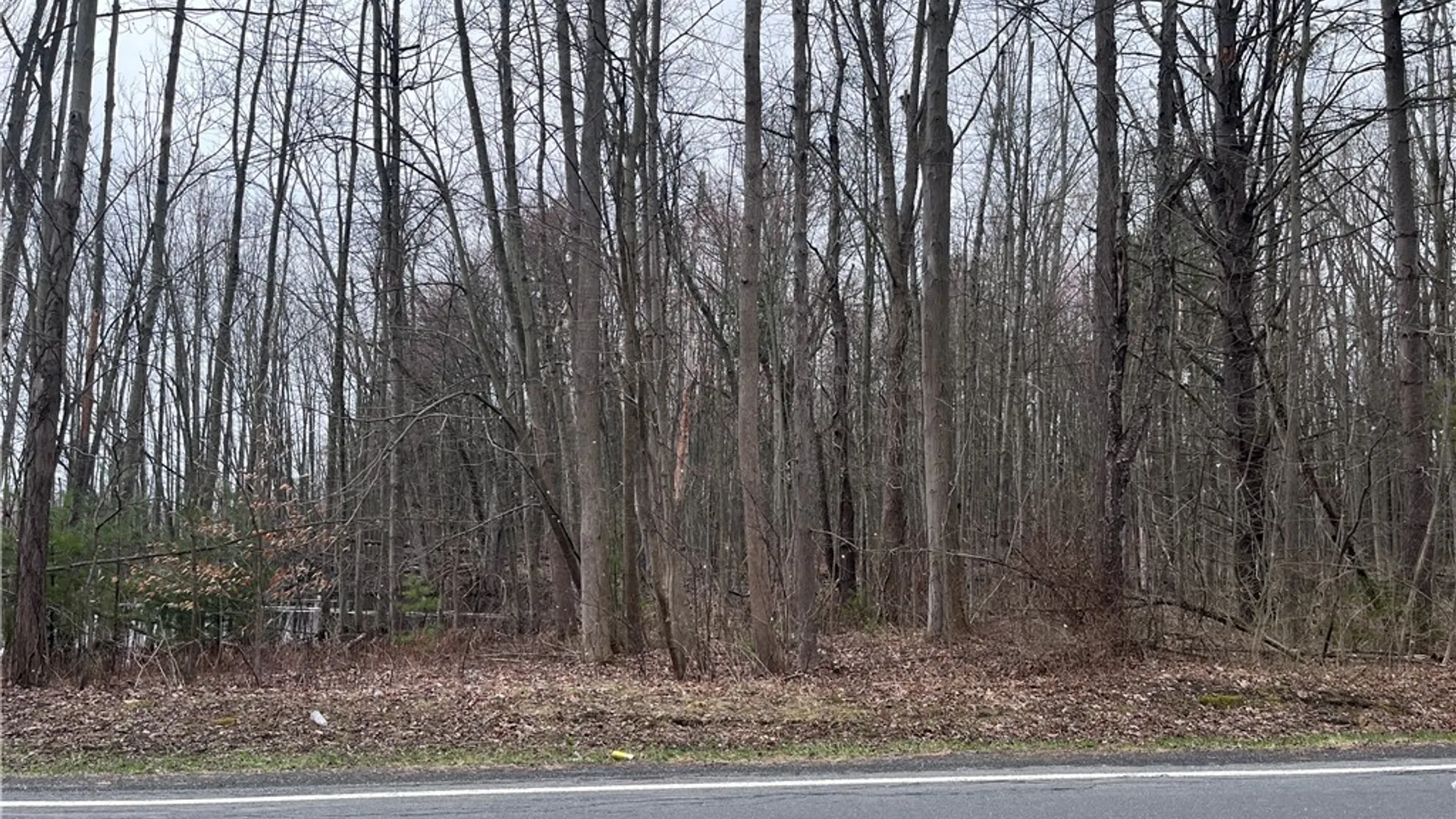 Property at 0 Packwood Road, Waterloo, NY 13165 3