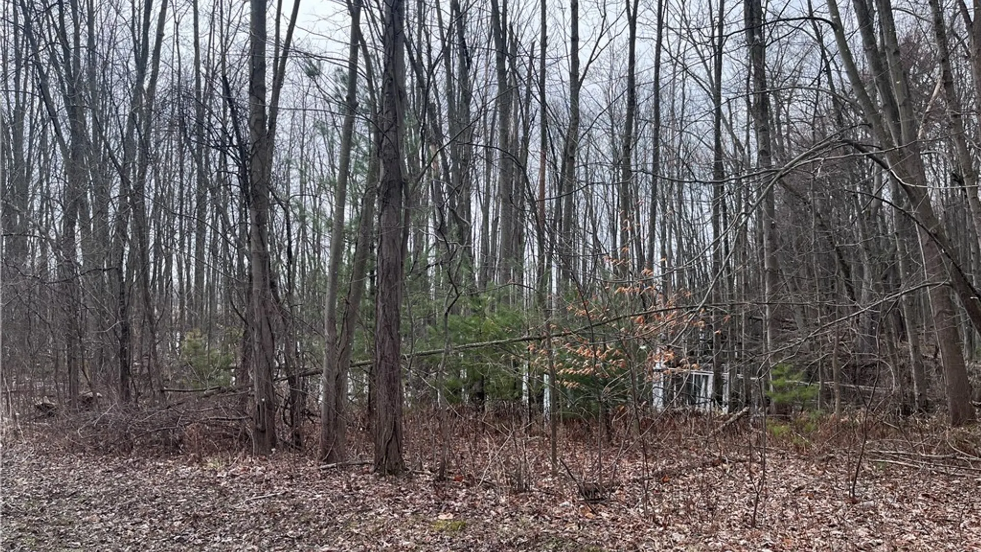 Property at 0 Packwood Road, Waterloo, NY 13165 4