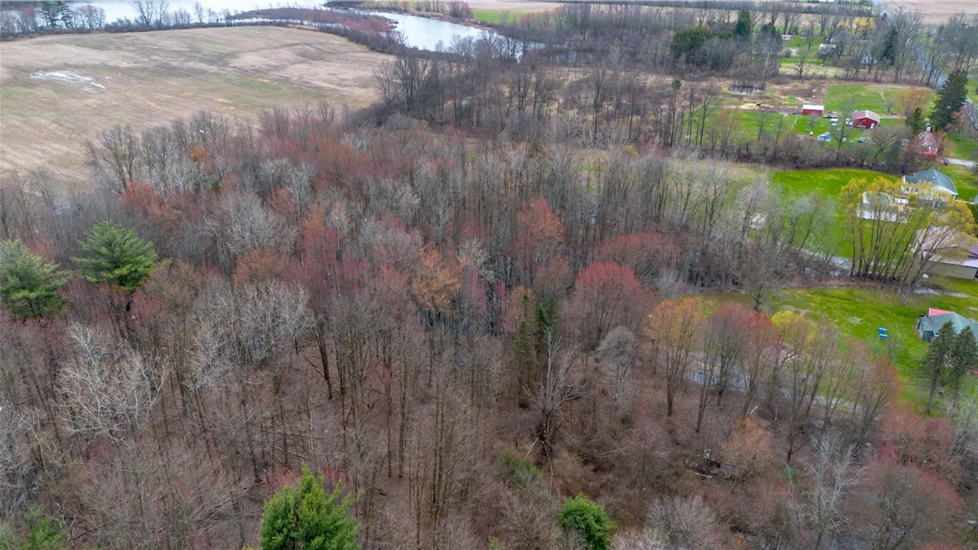 Property at 0 Packwood Road, Waterloo, NY 13165 6