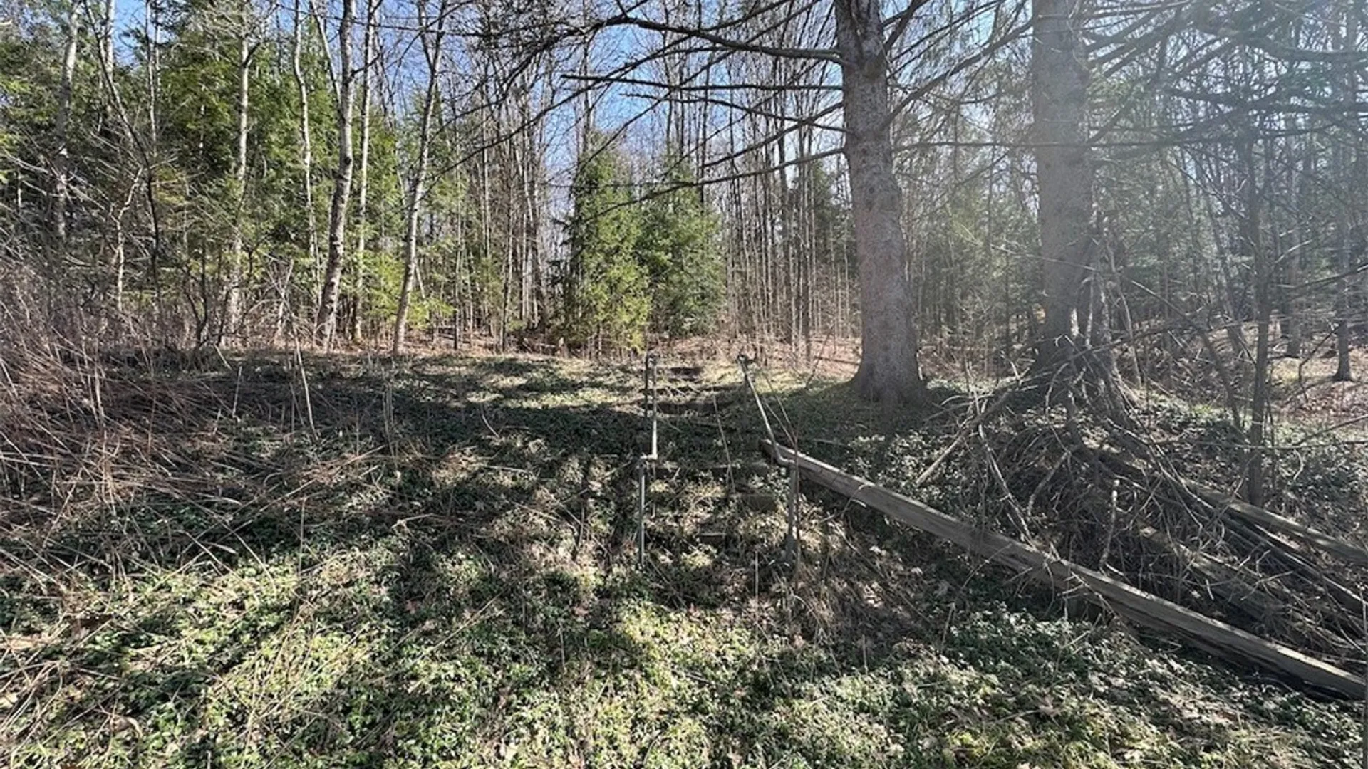 Property at 6858 County Road 17, Belfast, NY 14711 3