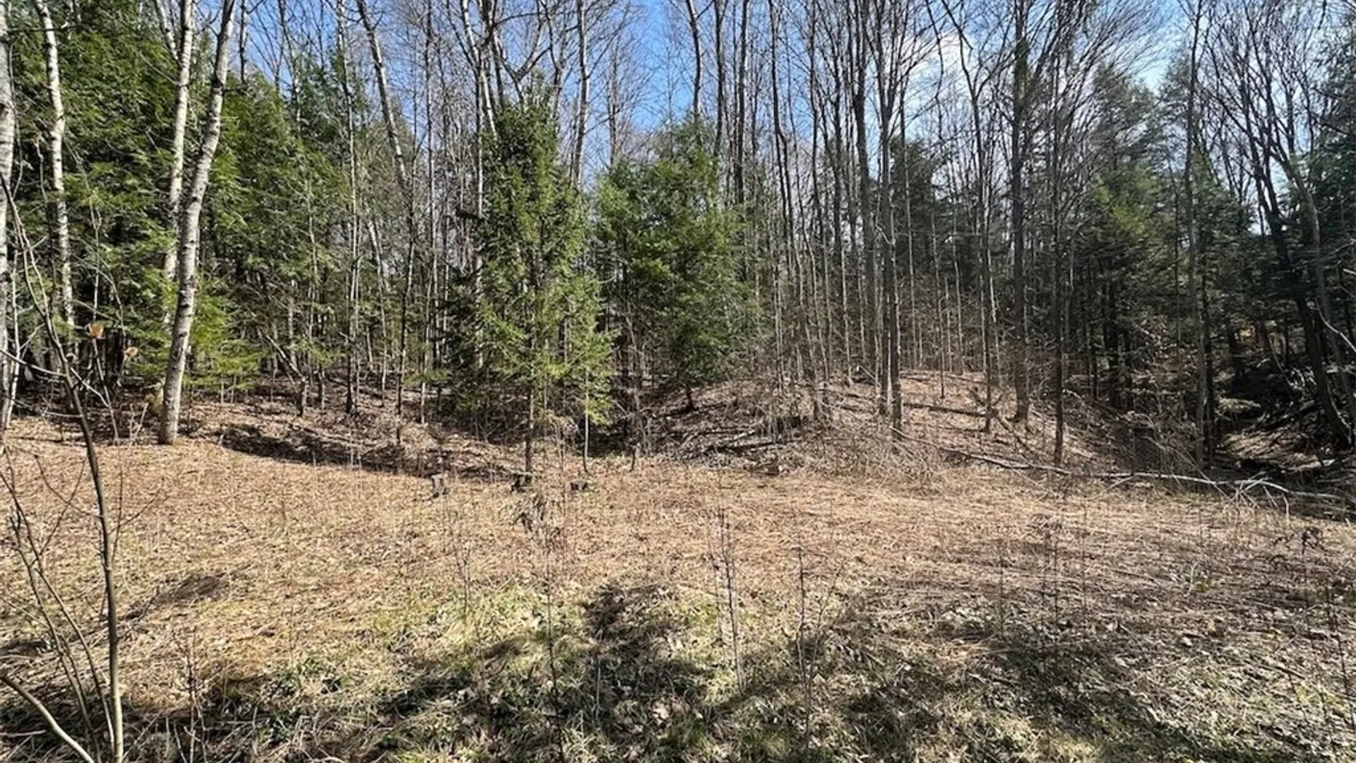 Property at 6858 County Road 17, Belfast, NY 14711 4
