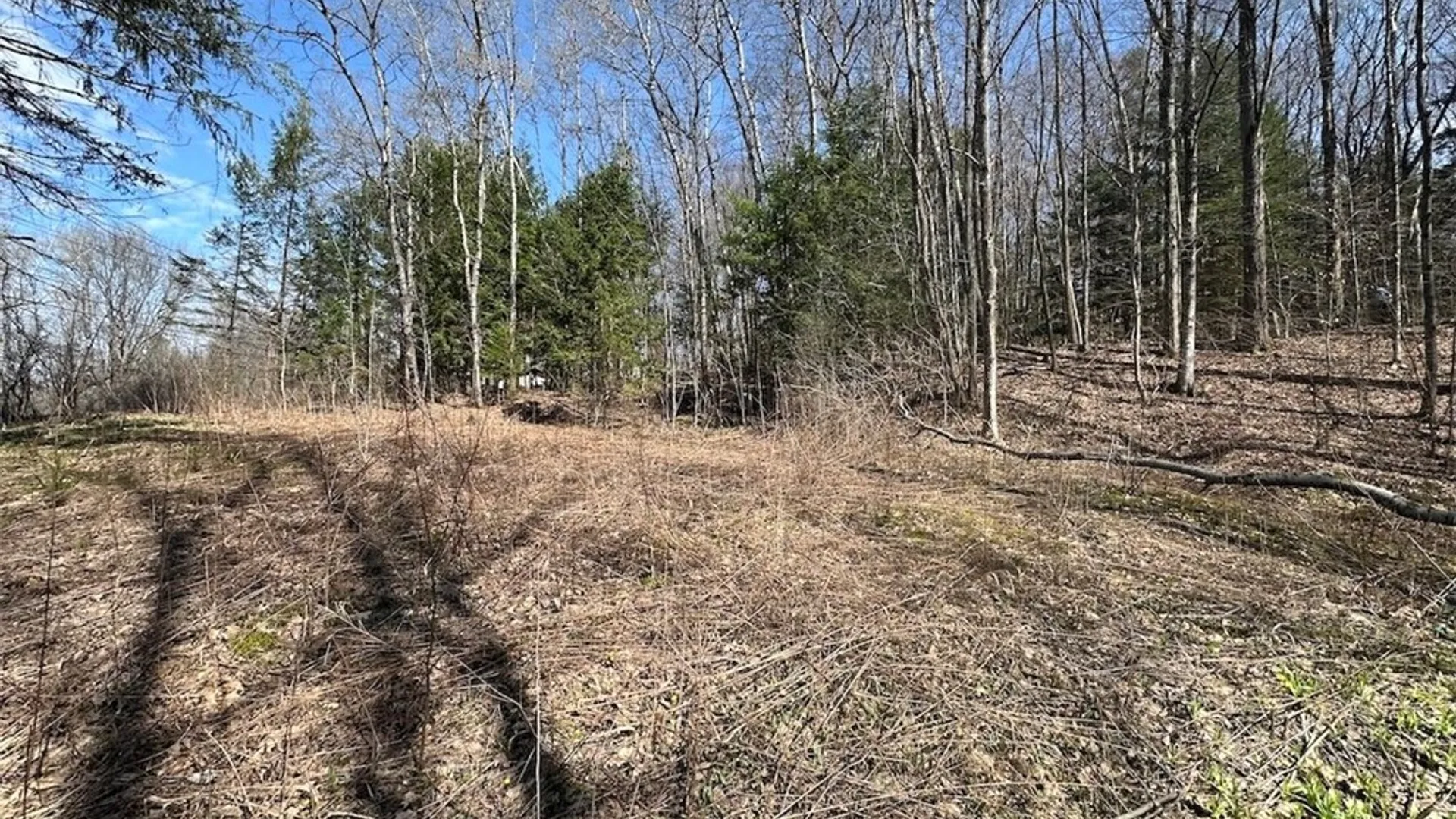 Property at 6858 County Road 17, Belfast, NY 14711 5