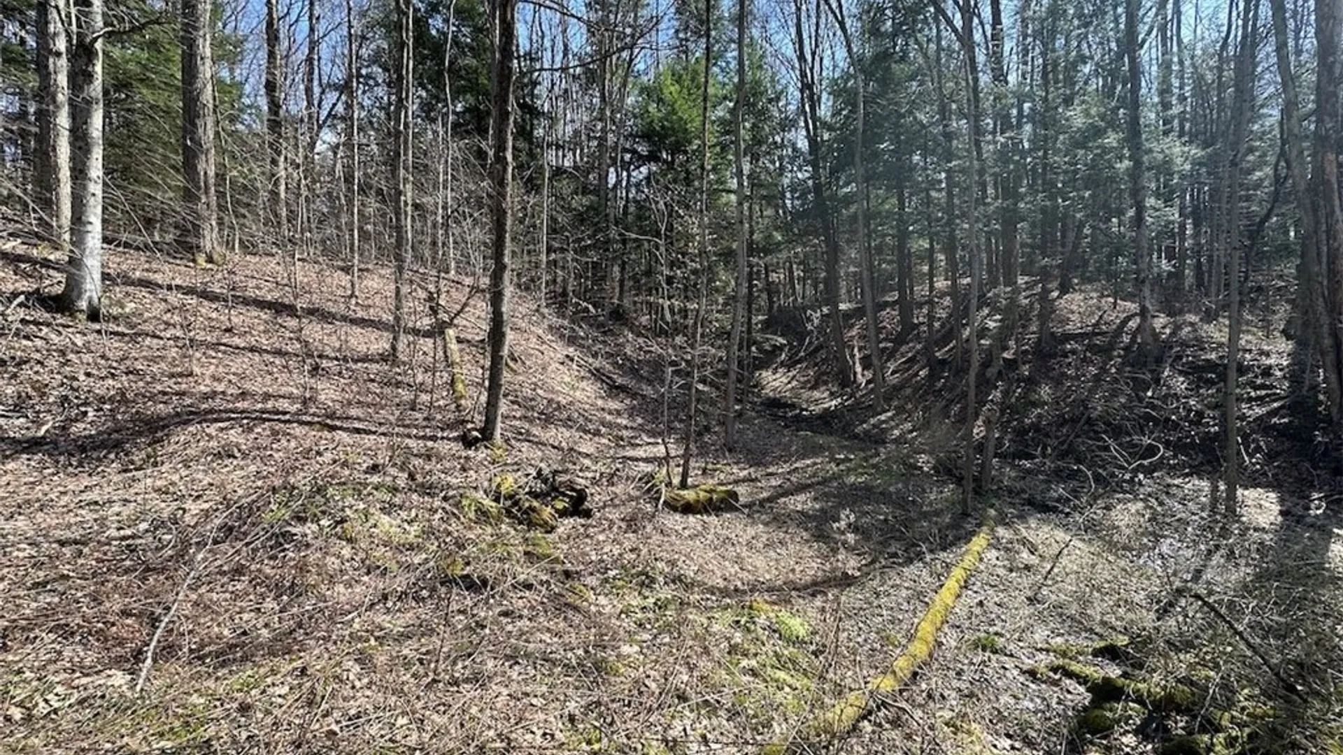 Property at 6858 County Road 17, Belfast, NY 14711 6