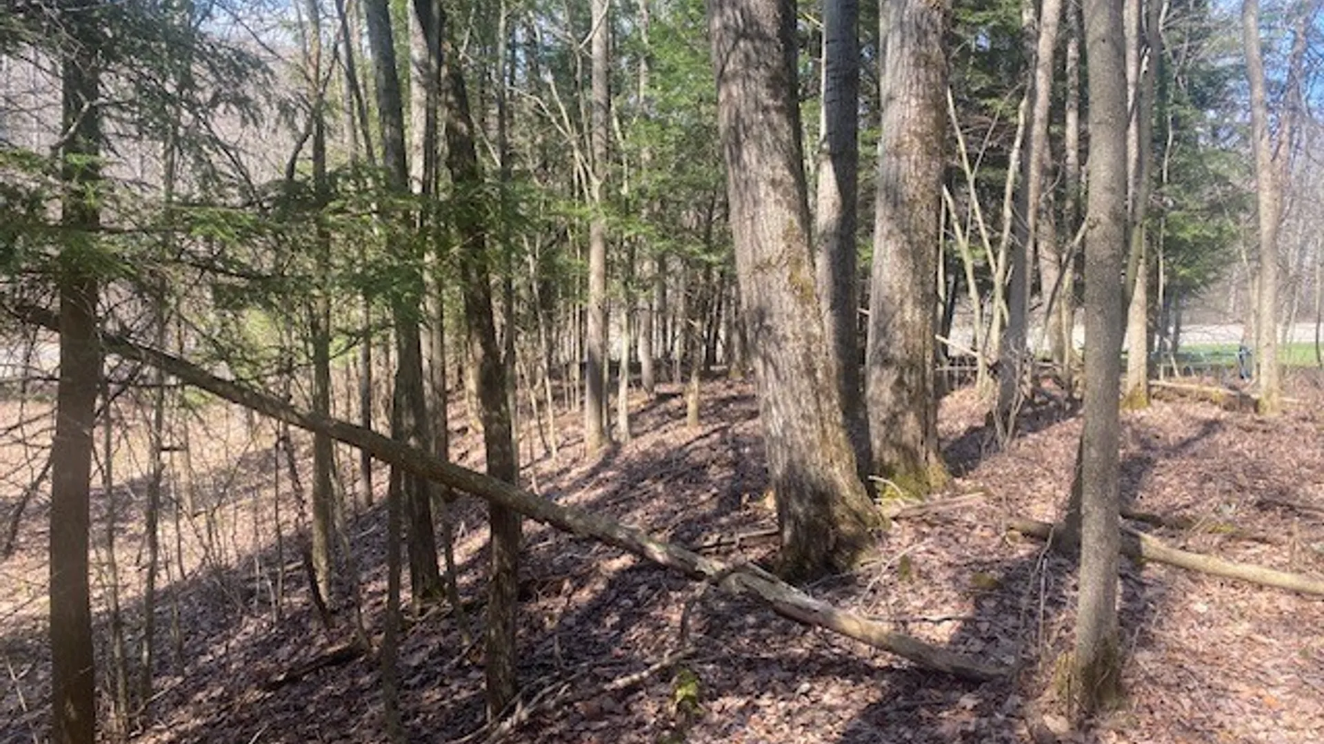 Property at 6858 County Road 17, Belfast, NY 14711 7