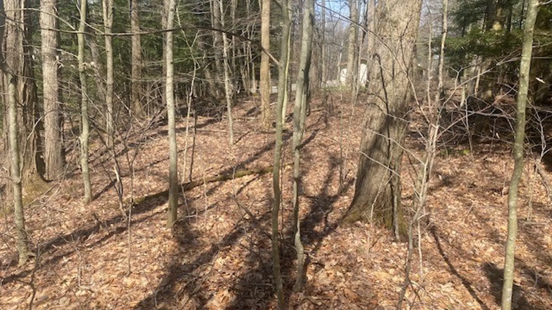 Property at 6858 County Road 17, Belfast, NY 14711 9