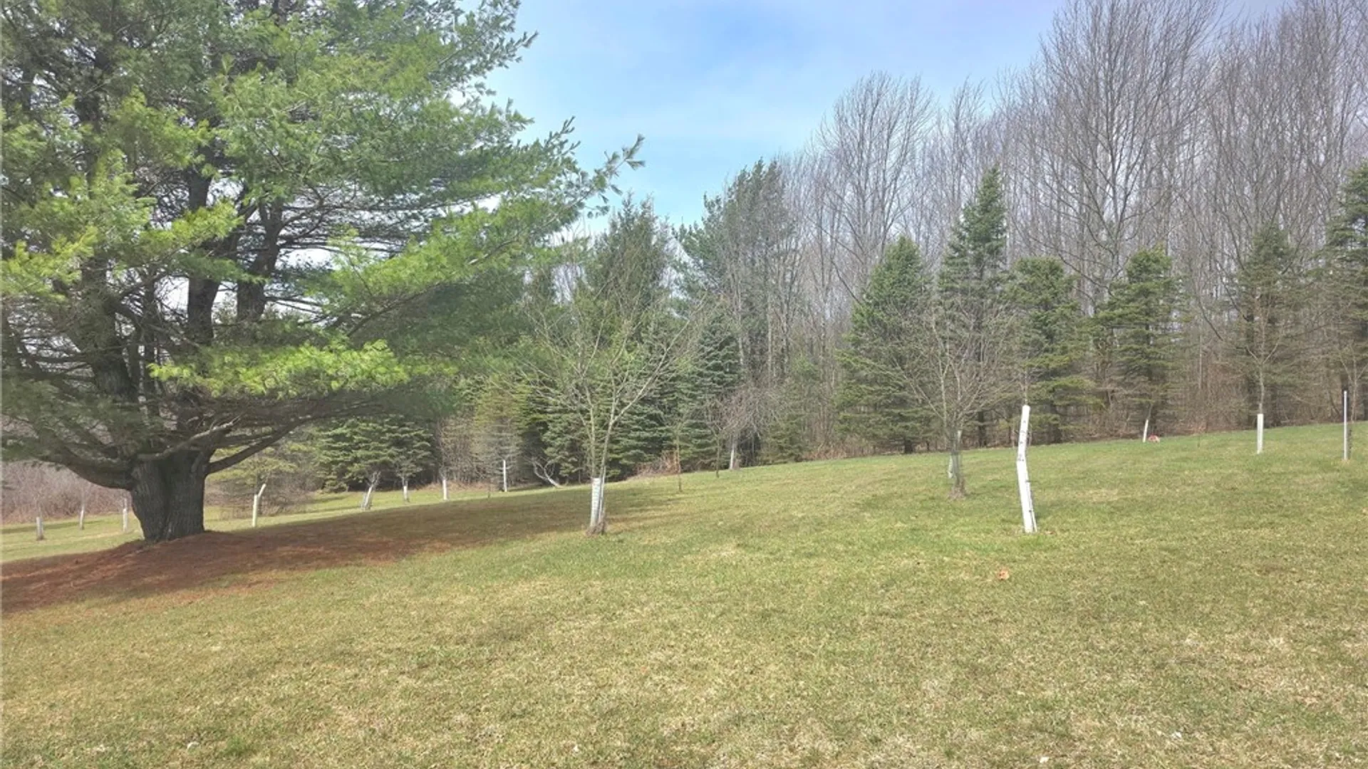 Property at 257 Nersesian Road, Hartwick, NY 13348 11