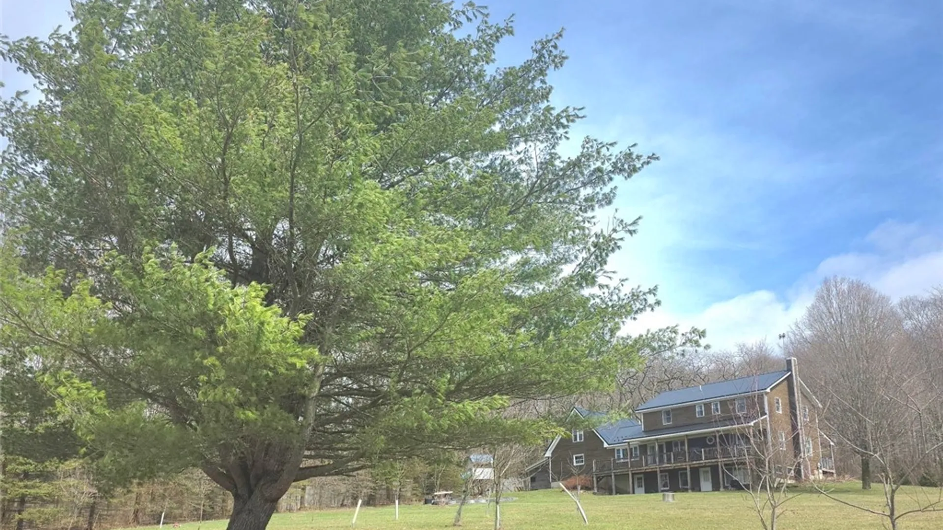 Property at 257 Nersesian Road, Hartwick, NY 13348 12