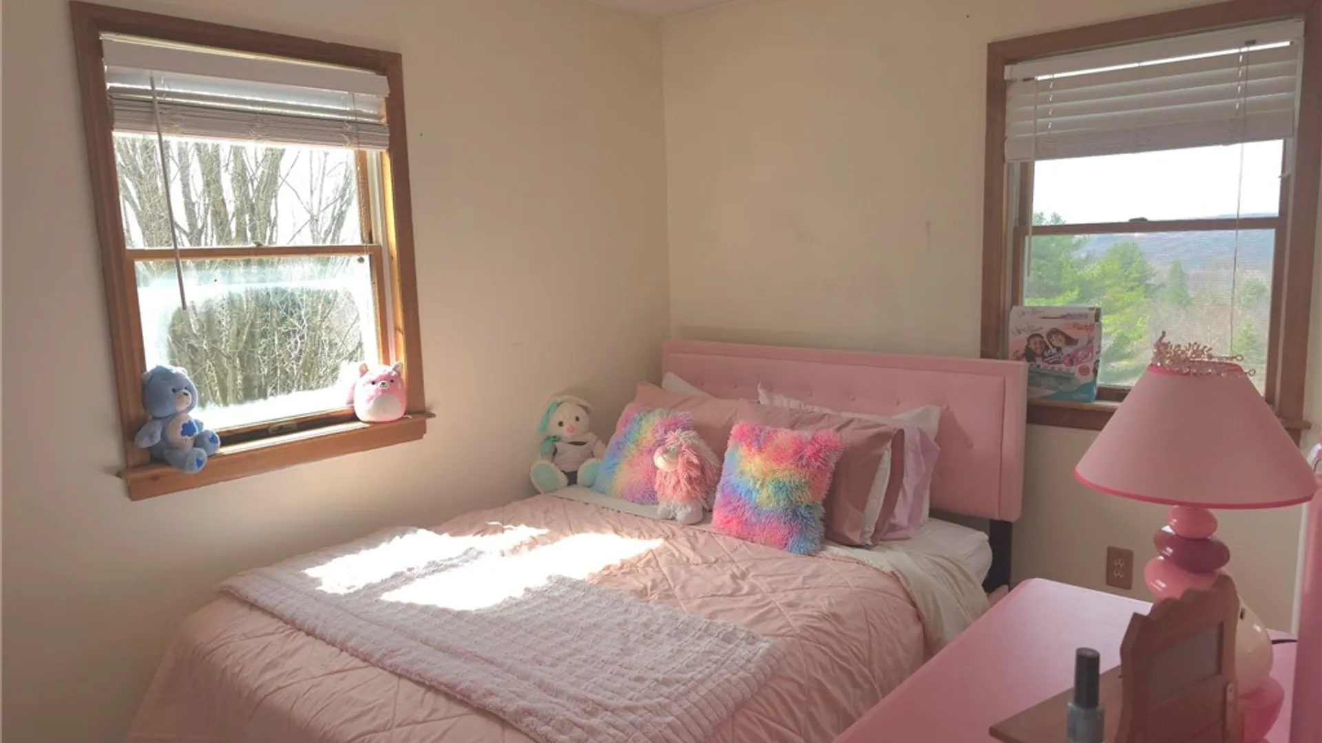 Property at 257 Nersesian Road, Hartwick, NY 13348 40