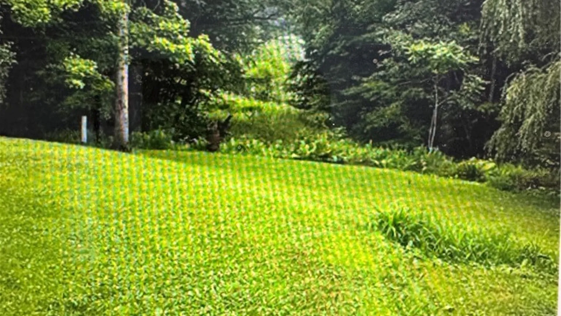 Property at 1995 Rte 305, Clarksville, NY 14727 16