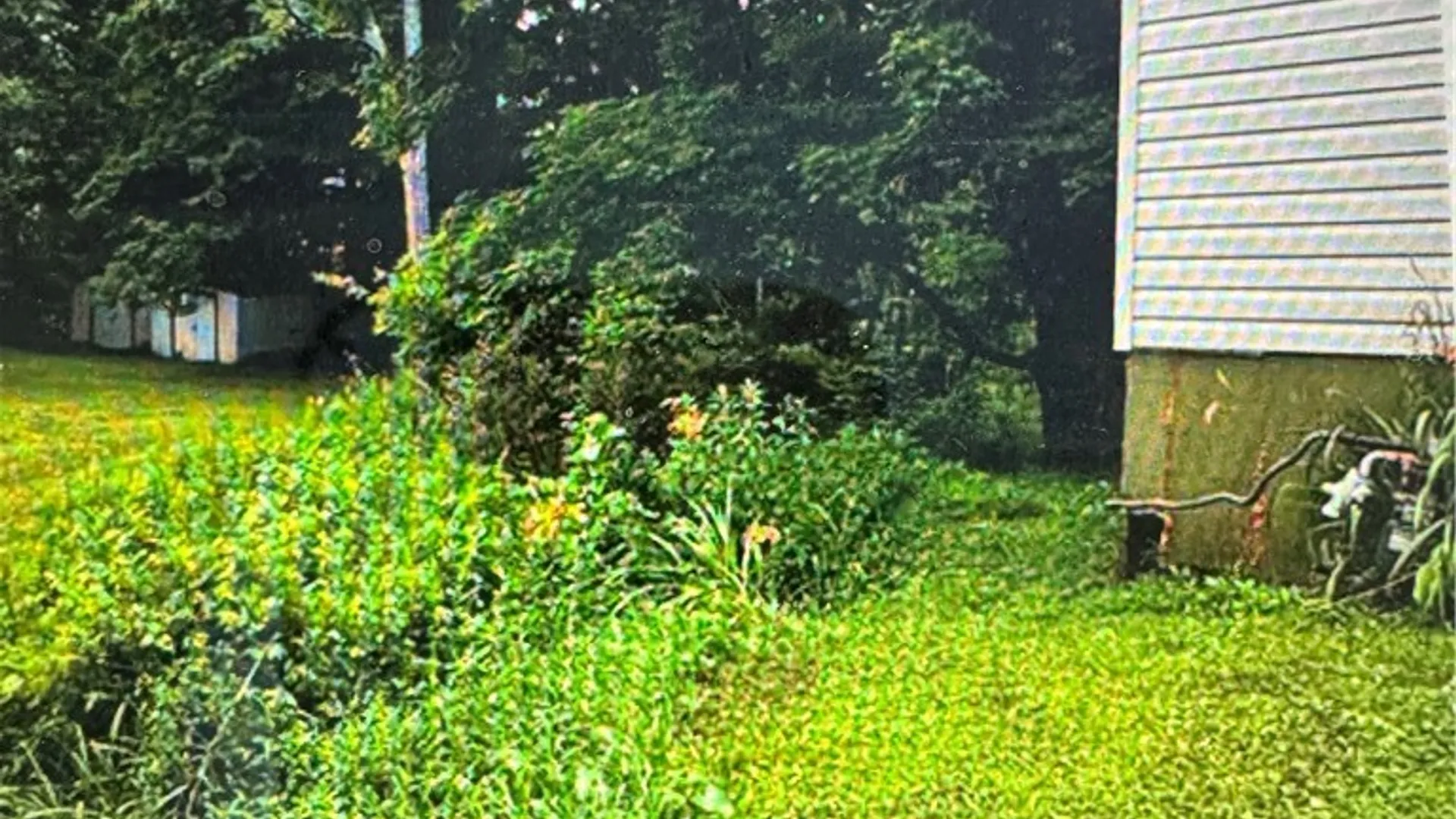 Property at 1995 Rte 305, Clarksville, NY 14727 17