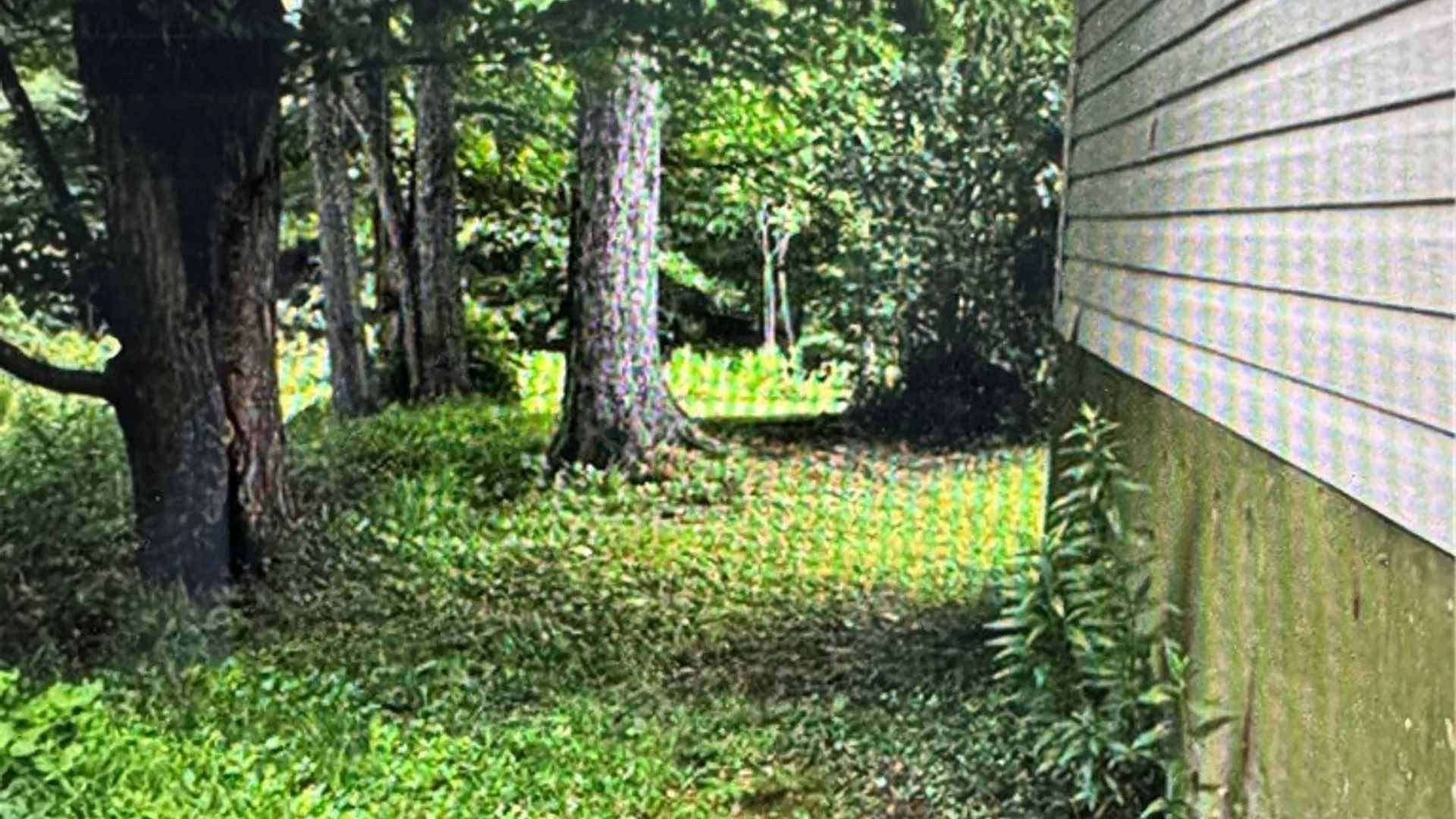 Property at 1995 Rte 305, Clarksville, NY 14727 18