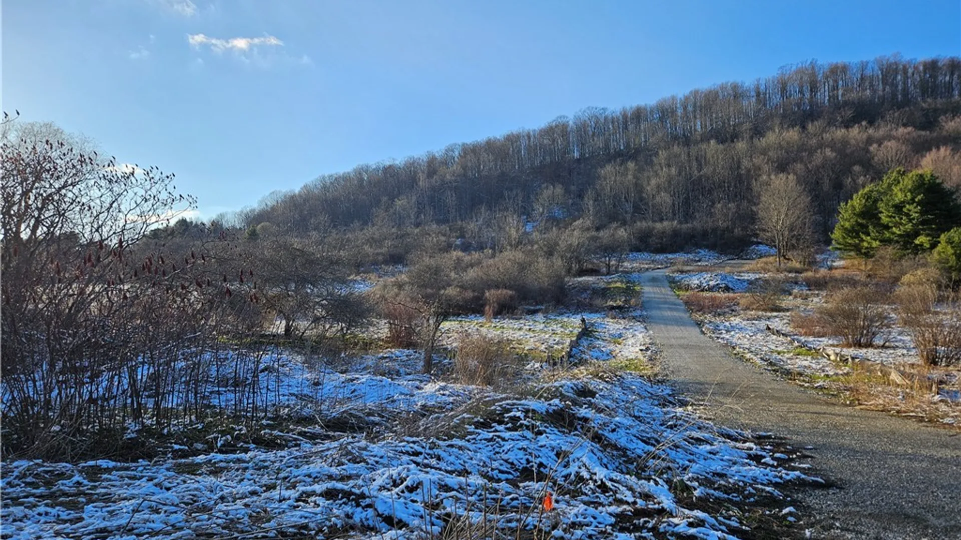 Property at 6048 NYS RTE 242 E, Ellicottville, NY 14731 7