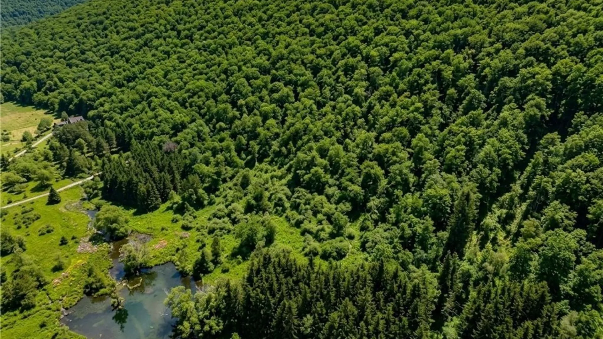 Property at Maples Road, Ellicottville, NY 14731 10