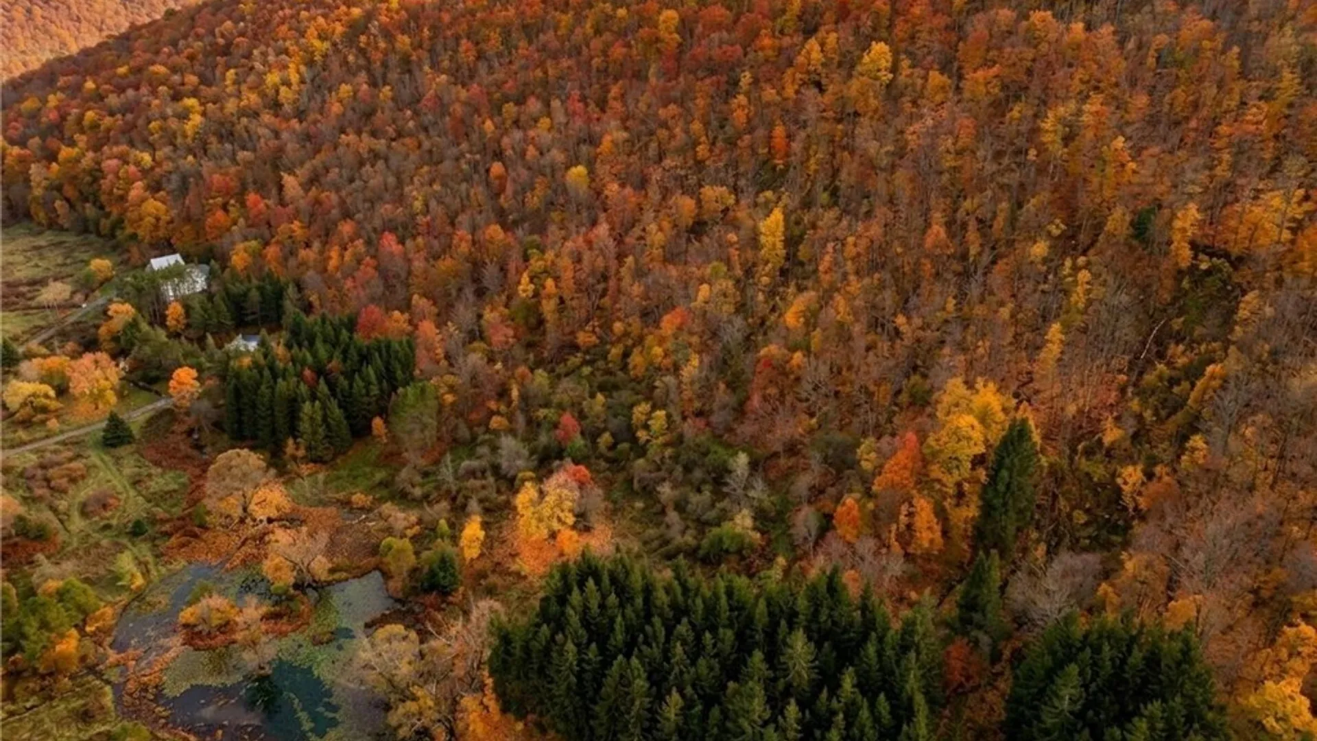 Property at Maples Road, Ellicottville, NY 14731 11